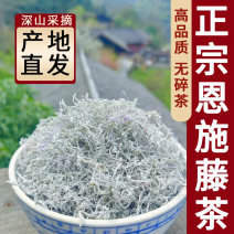 藤茶