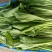 本地水菜菜心瓜豆等等