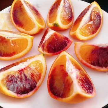 湖南省麻阳冰糖橙