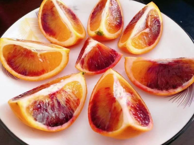 湖南省麻阳冰糖橙