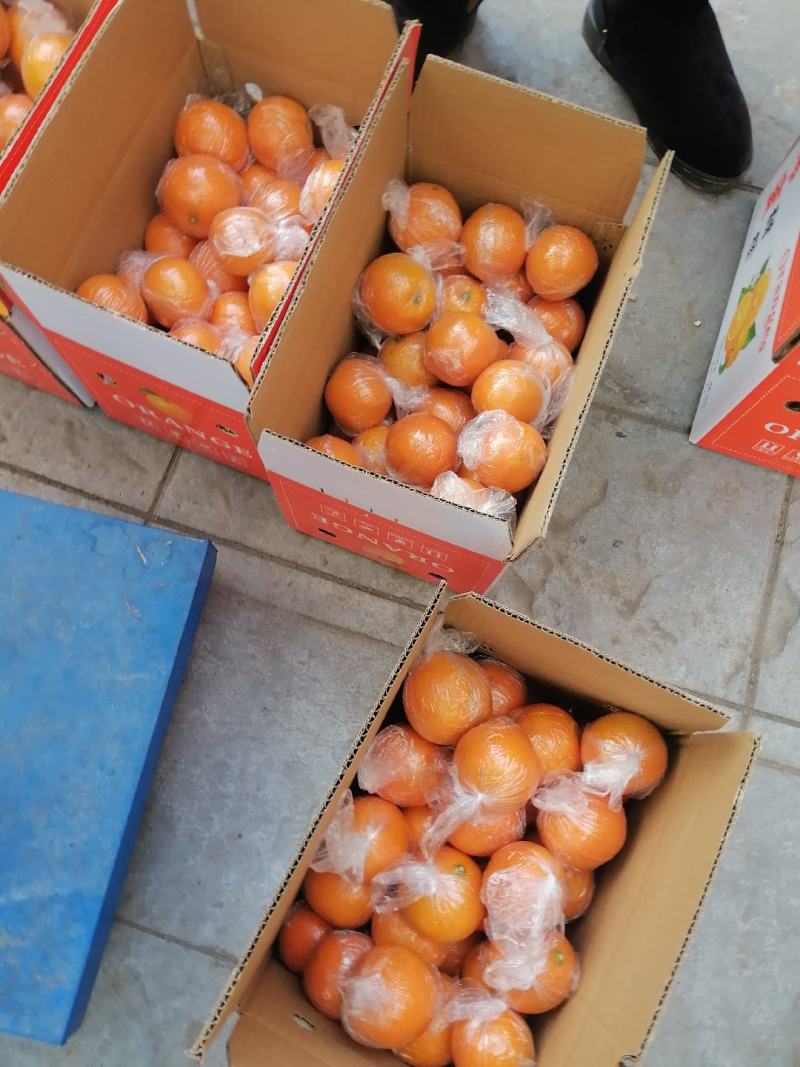 湖南省麻阳冰糖橙