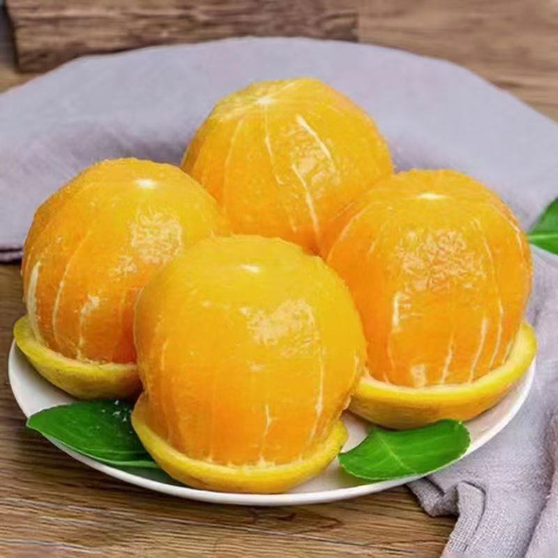 湖南省麻阳冰糖橙