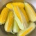 海南水果甜玉米🌽