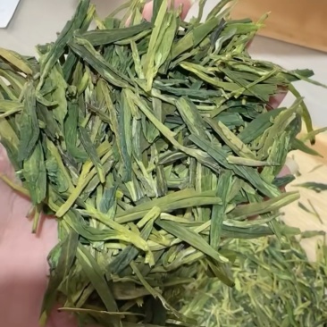 白茶龙井