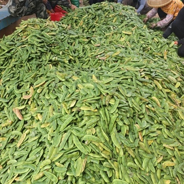 荷包豆