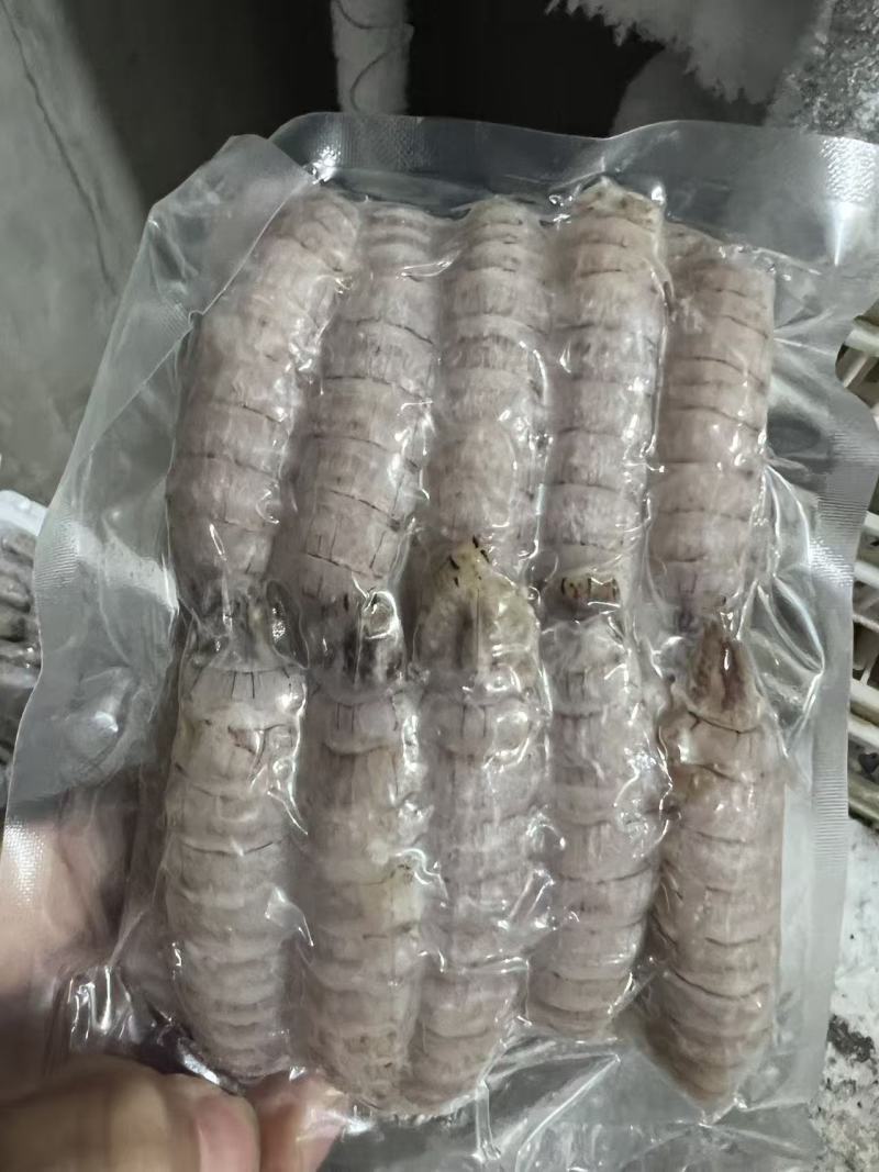 精品皮皮虾肉，质量有保证