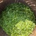 西湖龙井、高山绿茶