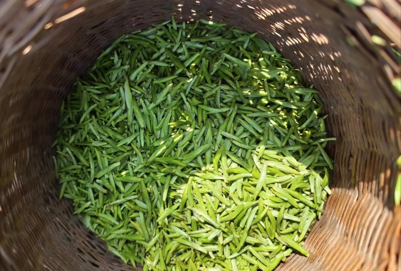 西湖龙井、高山绿茶