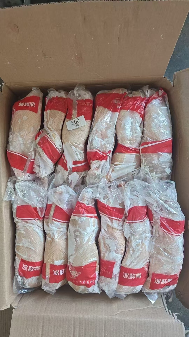 二级白条鸭800克4吨