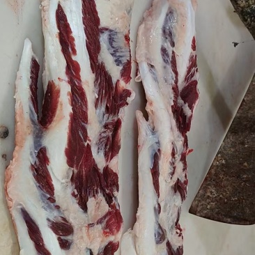 公牛加肉燕翅骨