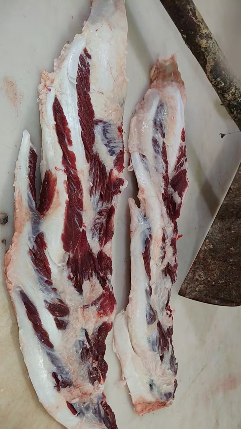 公牛加肉燕翅骨