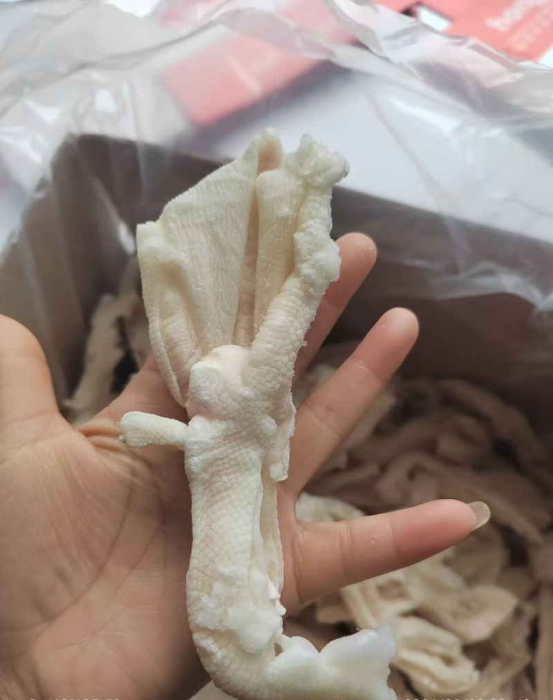 脱骨鸭掌