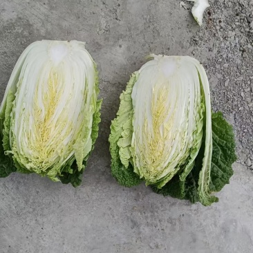 似锦大白菜