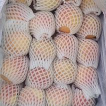 新疆阿克苏苹果