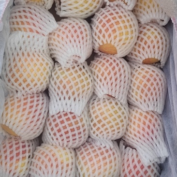 新疆阿克苏苹果