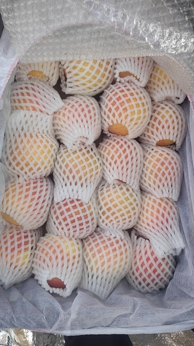 新疆阿克苏苹果