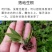 药食两用垂盆草