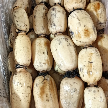 湖北粉藕，脆藕食堂二级藕，超市摊贩**