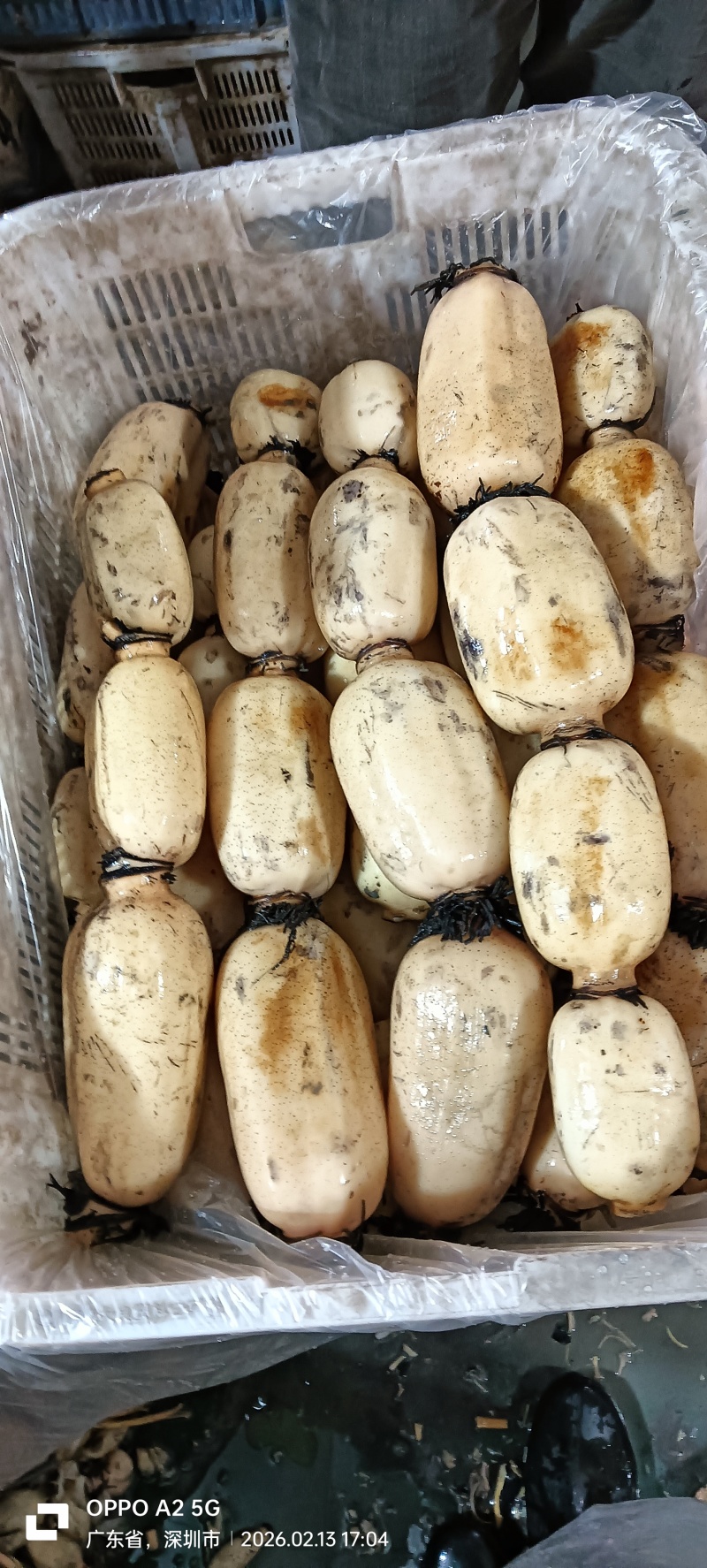 湖北粉藕，脆藕食堂二级藕，超市摊贩**