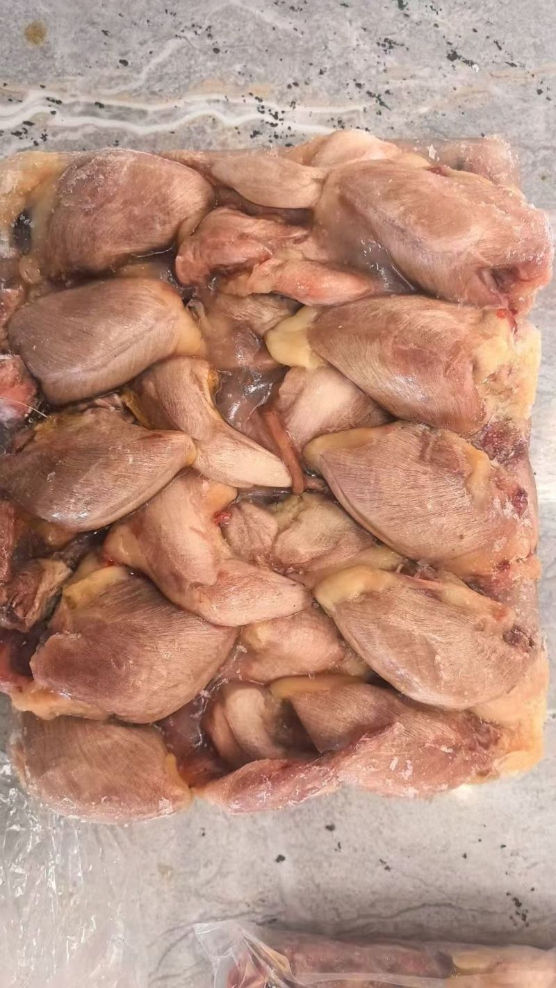 扒皮鹌鹑有货