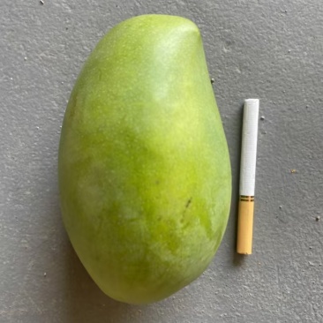 云南青芒，源头直采，接代发