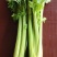 芹菜
