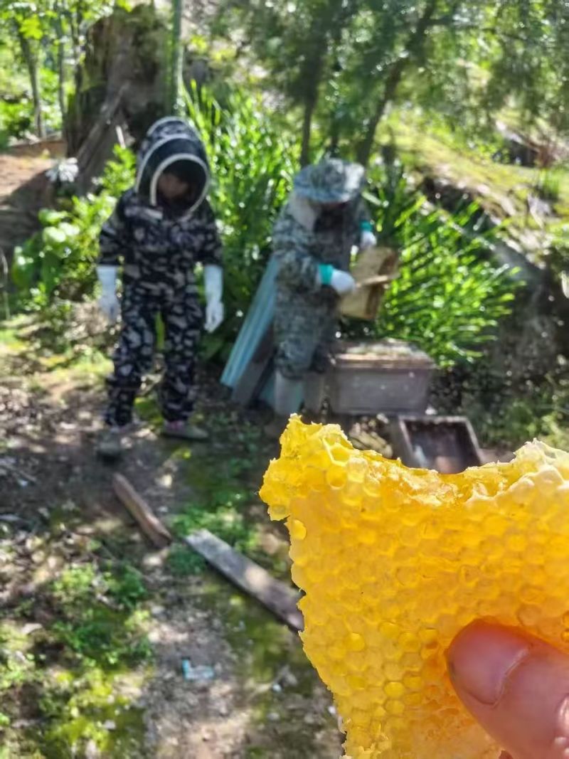 恩施高山土家蜂蜜