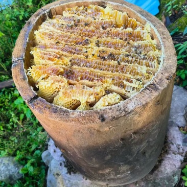 恩施高山土家蜂蜜