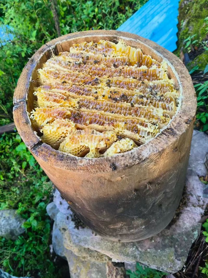 恩施高山土家蜂蜜