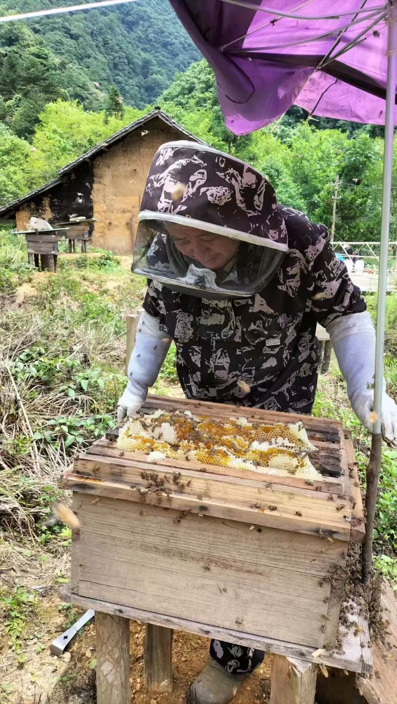 恩施高山土家蜂蜜
