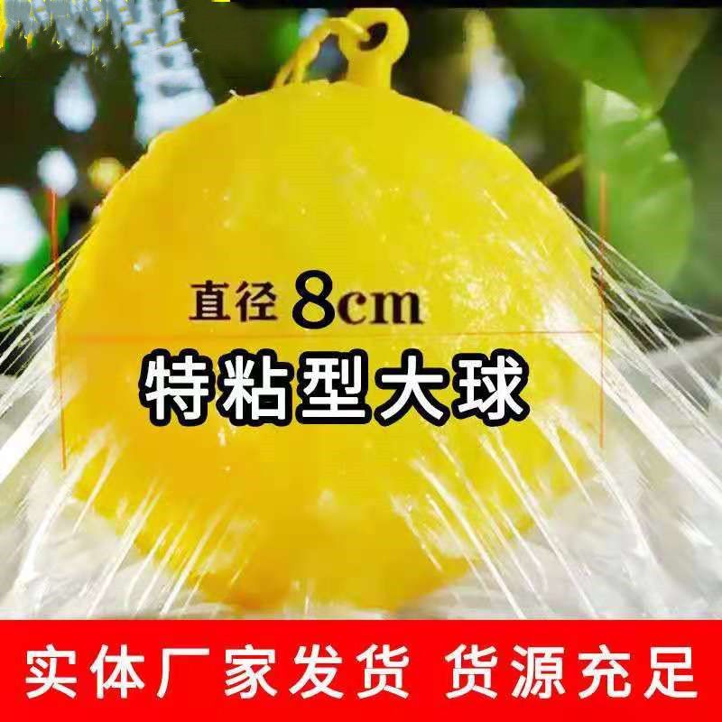 诱蝇球产品