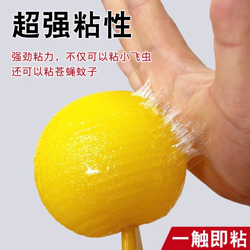 诱蝇球产品