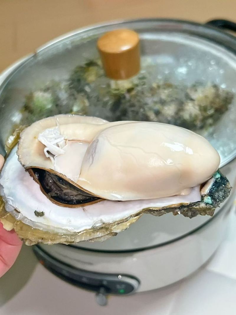 湛江生蚝一手货源欢迎看货比价