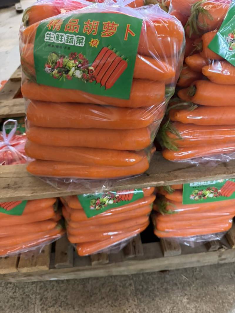 大量供应精品胡萝卜