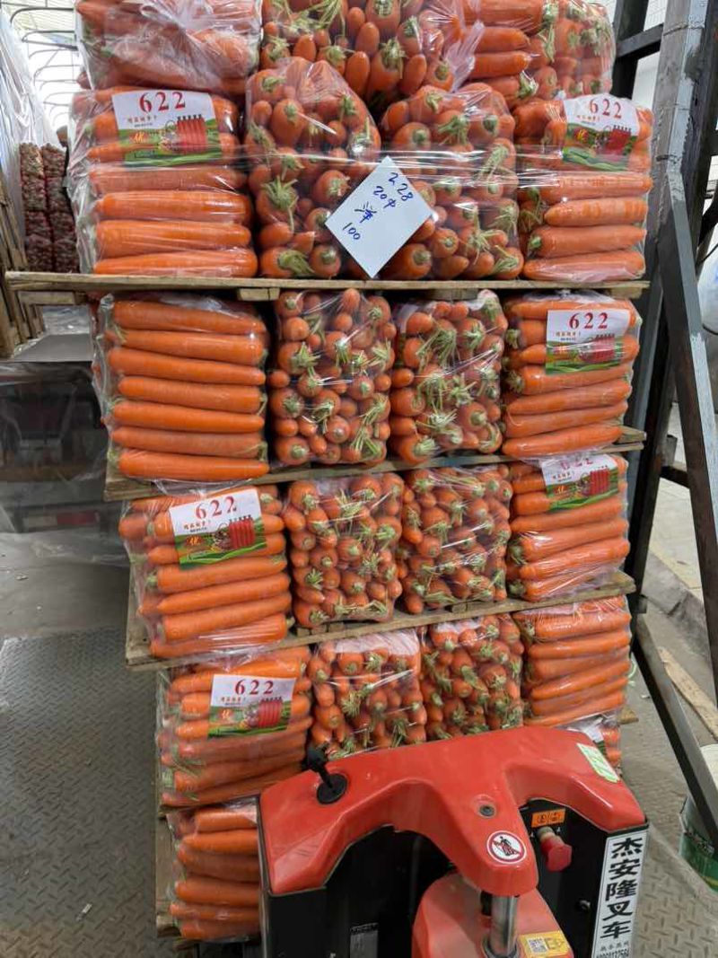 大量供应精品胡萝卜