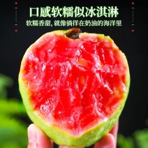 芭乐红心番石榴新鲜水果当季软甜奶油胭脂红芭乐树熟大果
