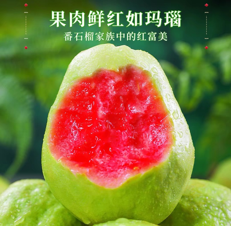 芭乐红心番石榴新鲜水果当季软甜奶油胭脂红芭乐树熟大果