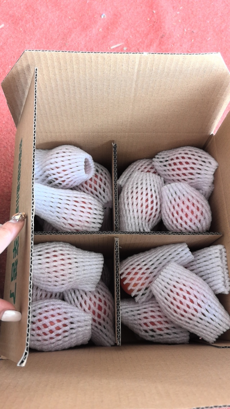 西红柿🍅硬粉一件代发