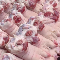 带蹄前段热鲜猪前腿带筋前肘前蹄膀生鲜猪肉卤味食材冷鲜直达