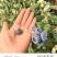 云南澄江抚仙湖无公害有机蓝莓，