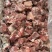 肋排块10kg/箱临沂提货个别轻微发黄