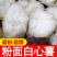 安徽正宗红薯苗