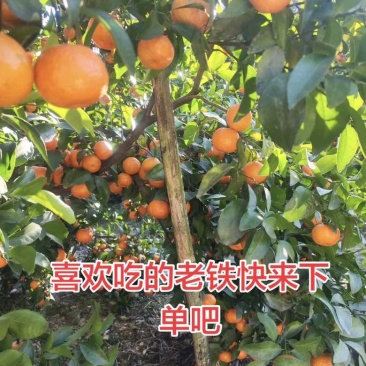 最后几天了