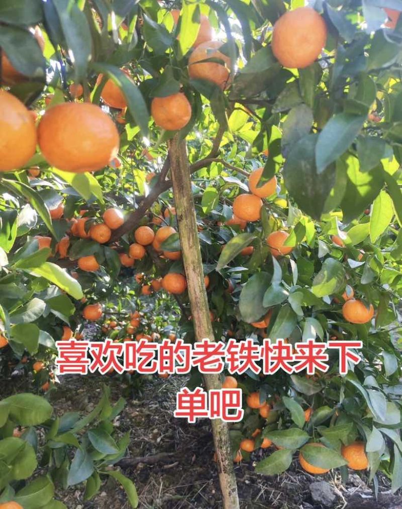 最后几天了