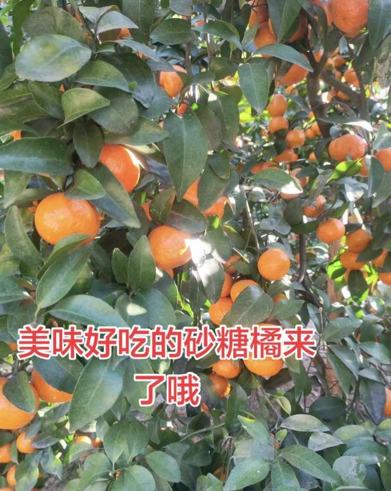 最后几天了