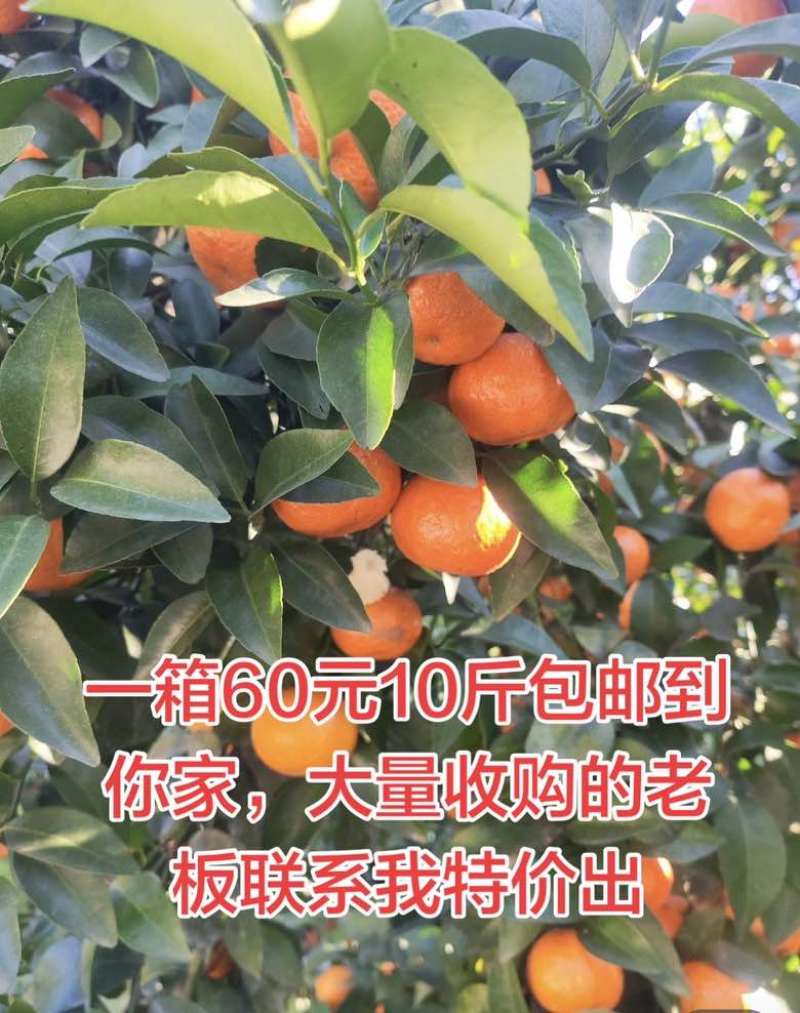 最后几天了