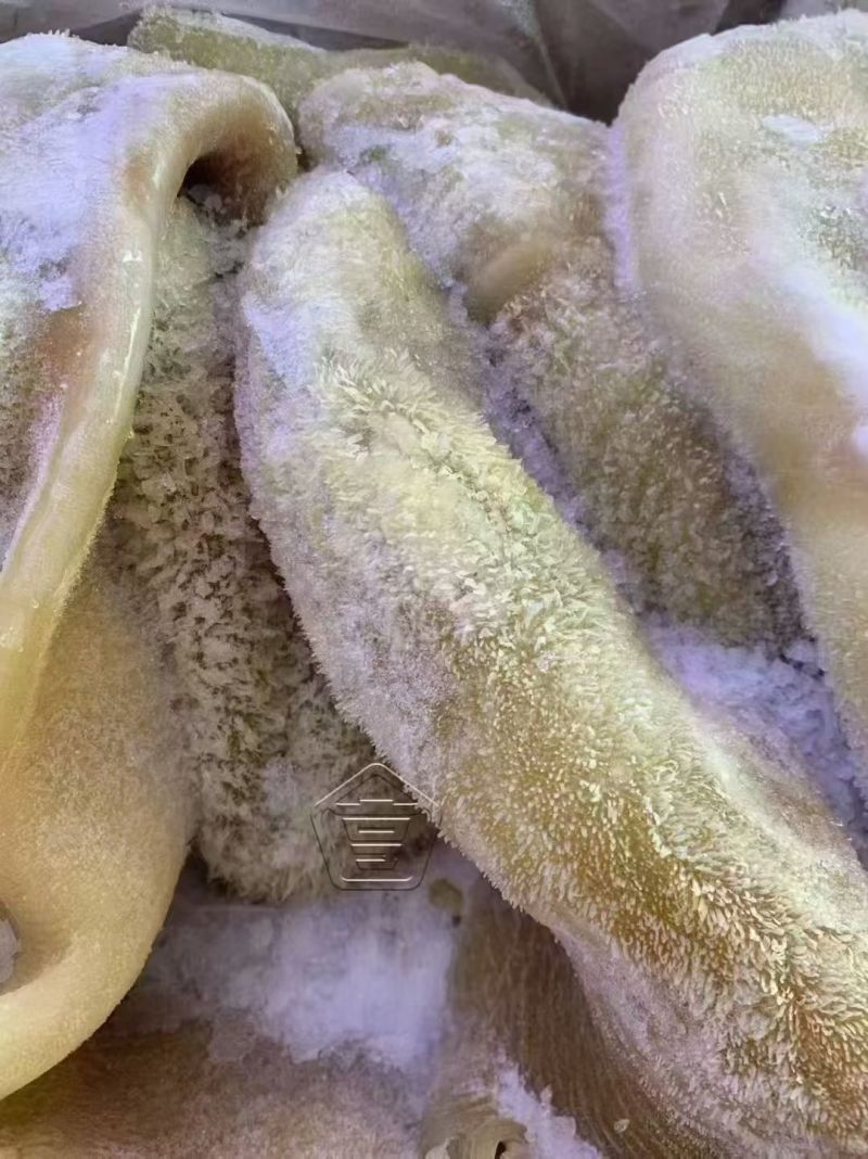纯干全熟牛肚