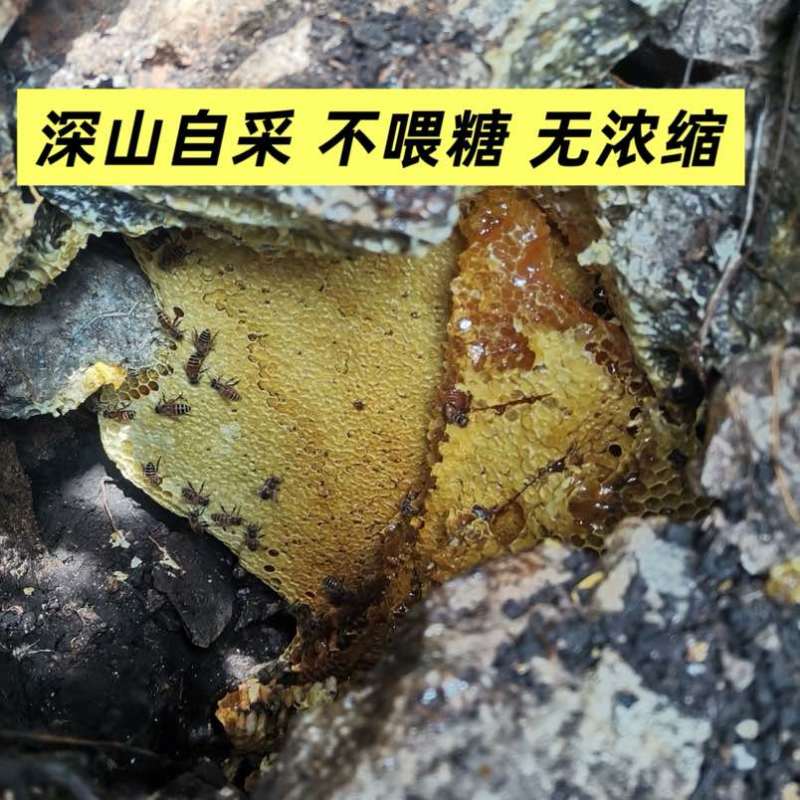深山自采野生土蜂蜜，支持一件代发