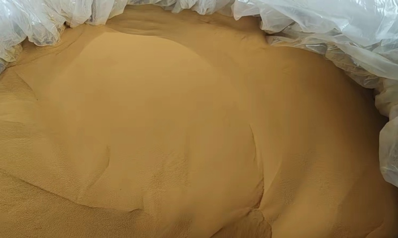 海金沙