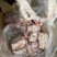 国产满肉S骨带腱子肉新货临沂发货零售吨发均可